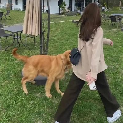 不变的妳